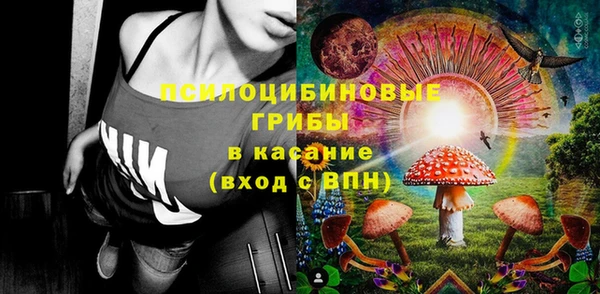 МДМА Богданович