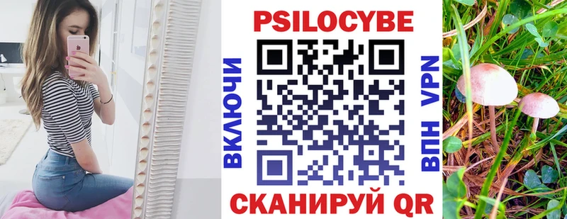 Галлюциногенные грибы Psilocybine cubensis Михайловск